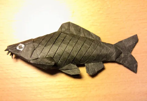 Carp v1.1