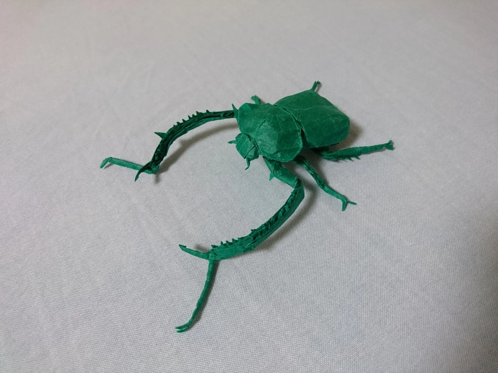 Cheirotonus Battareli