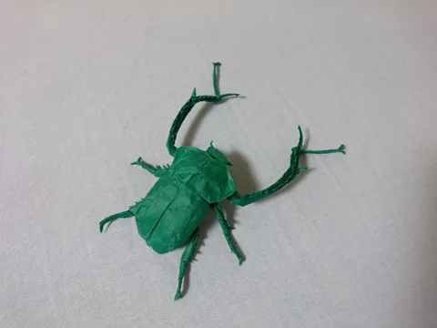 Cheirotonus Battareli