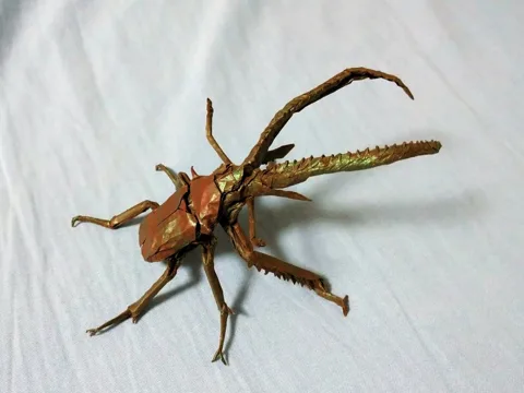 Chiasognathus Grantii