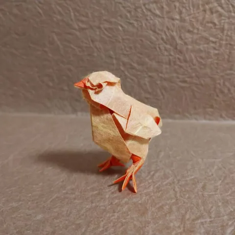 Chick