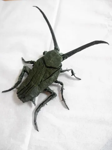 Cockroach