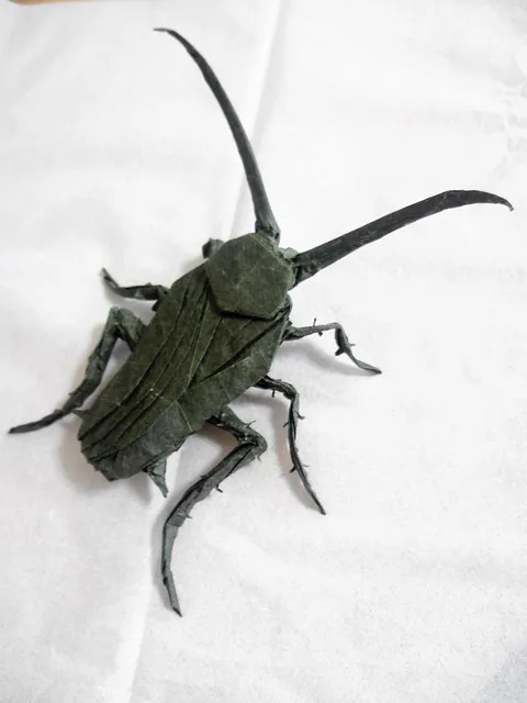 Cockroach