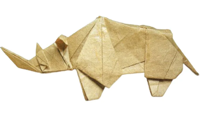 Rhinoceros
