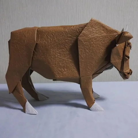 Cow