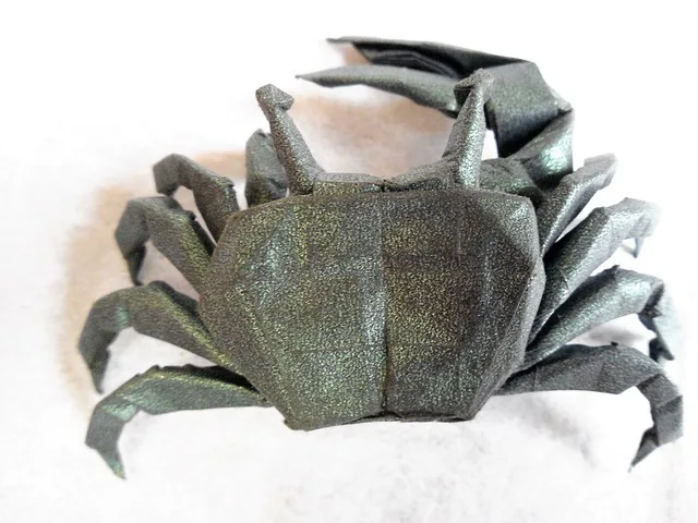 Crab Fiddler