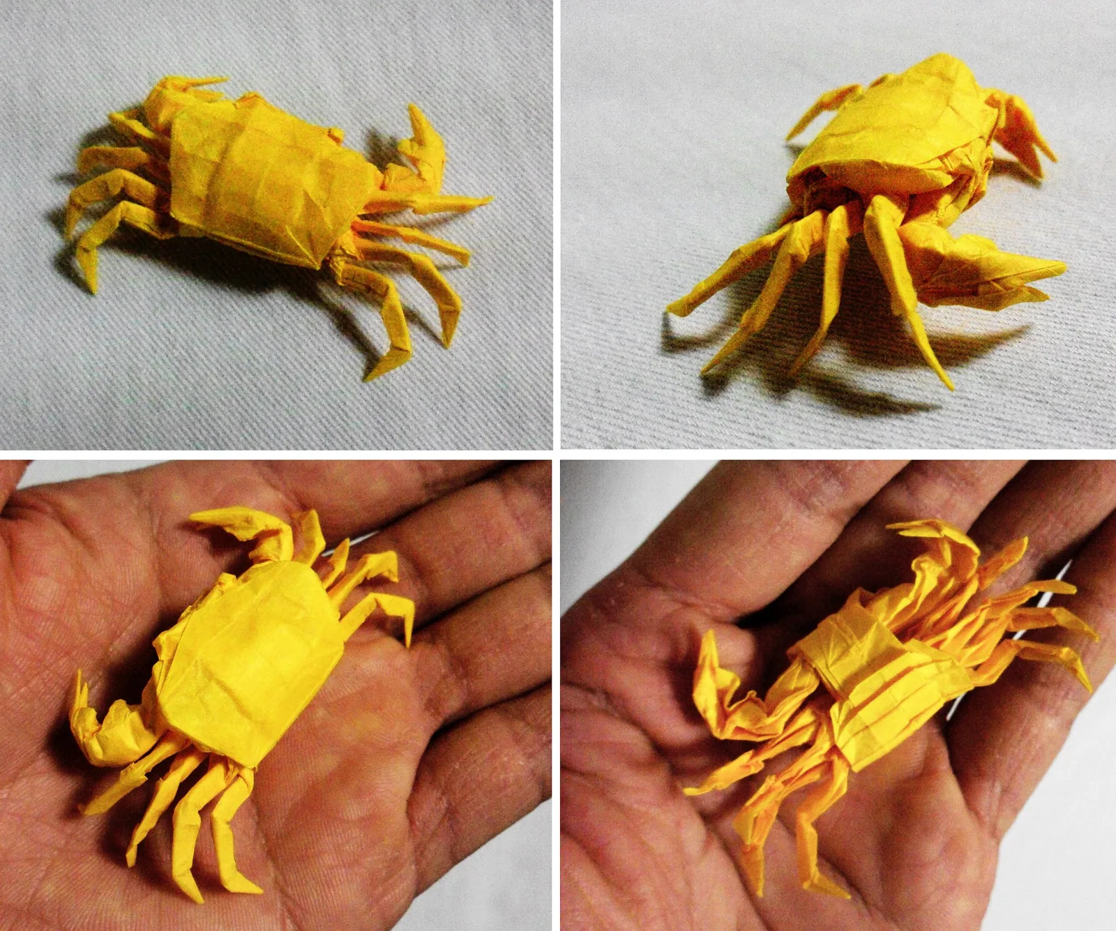 Crab Freshwater (PD)
