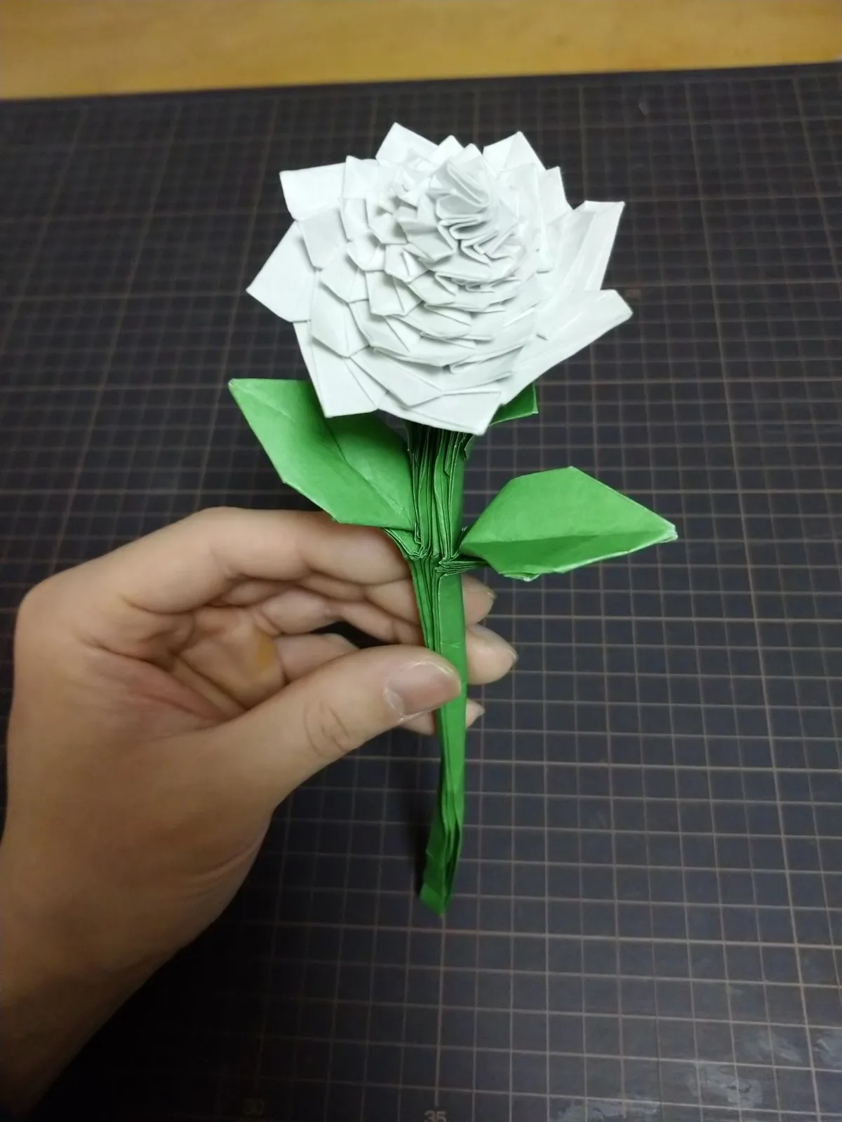 Dahlia with Stem