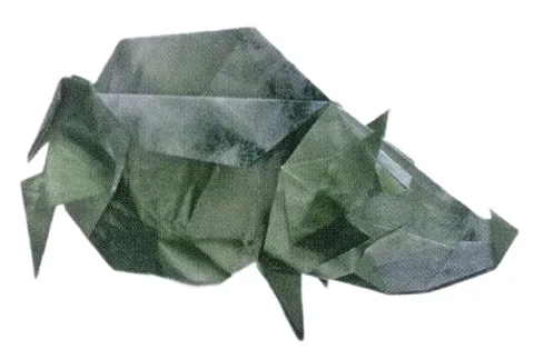 Wild boar