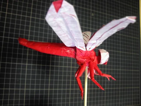 Dragonfly v1.0