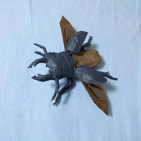 Flying Stag Beetle