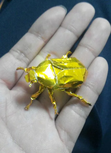 Japanese Drone Beetle v1.0