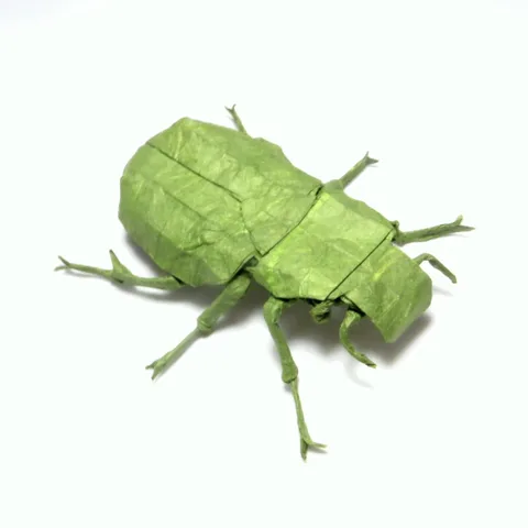 Japanese Drone Beetle v1.5