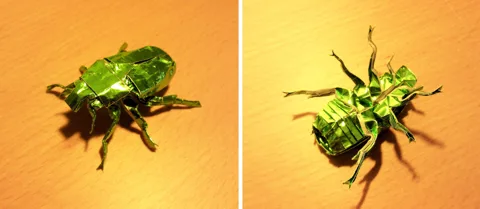 Japanese Drone Beetle v2.0