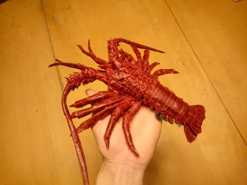 Japanese Spiny Lobster (Guide)