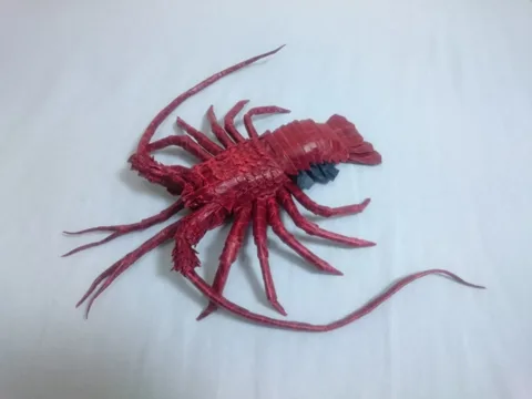 Japanese Spiny Lobster (Guide)