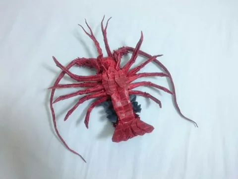 Japanese Spiny Lobster (Guide)