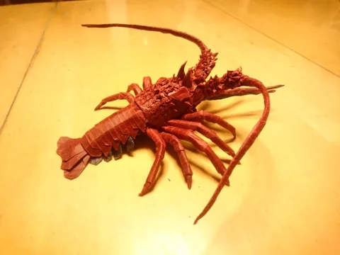 Japanese Spiny Lobster (Guide)