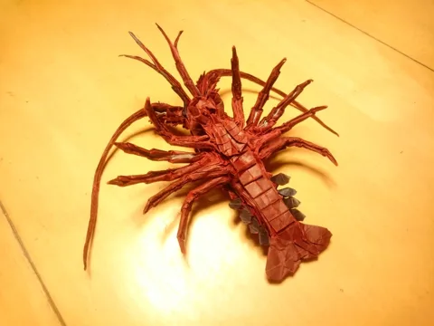 Japanese Spiny Lobster (Guide)