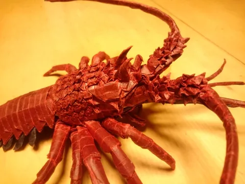 Japanese Spiny Lobster (Guide)