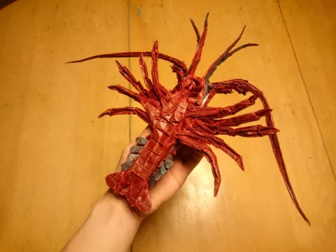 Japanese Spiny Lobster (Guide)