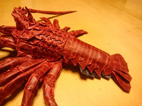 Japanese Spiny Lobster (Guide)