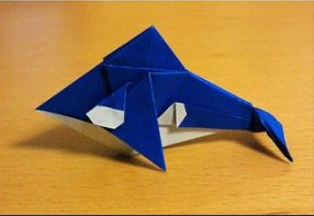 Killer whale