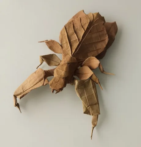 Leaf Insect 2.0