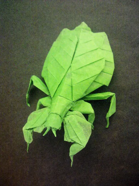 Leaf insect