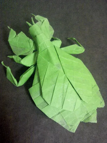 Leaf insect