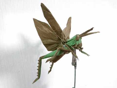 Locust Flying