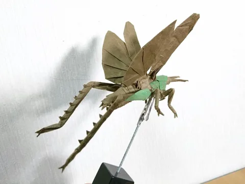 Locust Flying