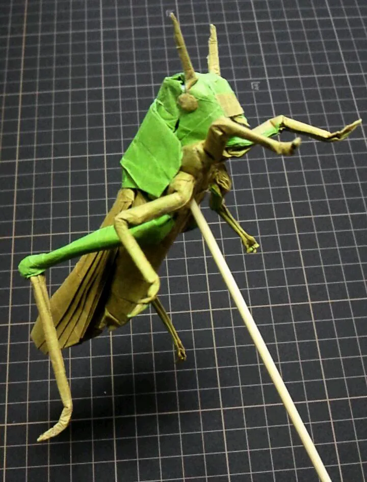 Locust v1.0 Grasshopper