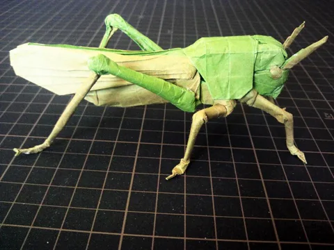 Locust v1.0 Grasshopper