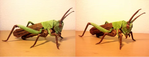 Locust v1.1 Grasshopper