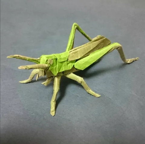 Locust v2.0 (PD) Grasshopper