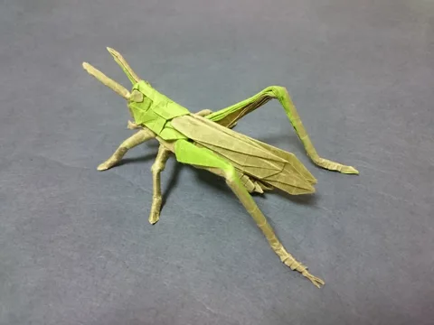 Locust v2.0 (PD) Grasshopper