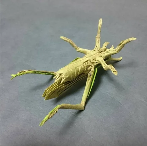 Locust v2.0 (PD) Grasshopper