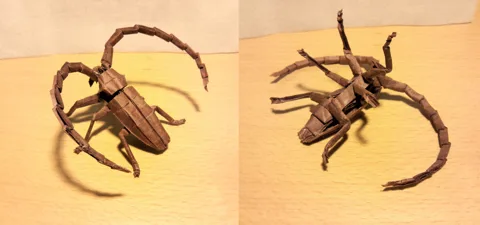 Longhorn beetle v1.0