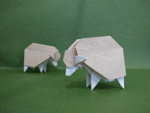 One Cut Sheep- Shorn Wool Becomes Clothing