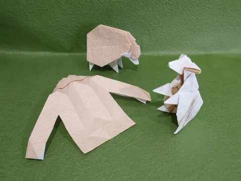 One Cut Sheep- Shorn Wool Becomes Clothing