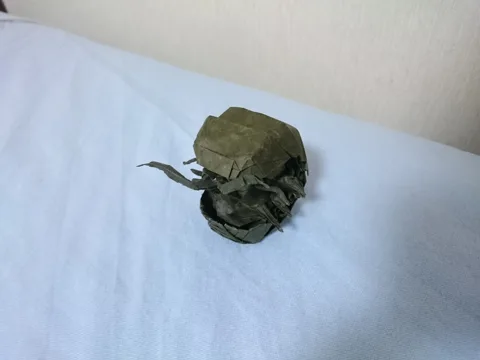 Pill bug