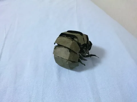 Pill bug