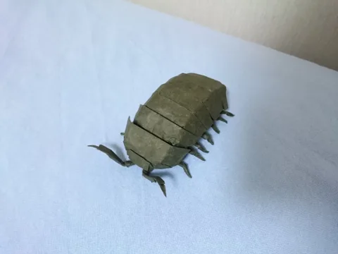 Pill bug