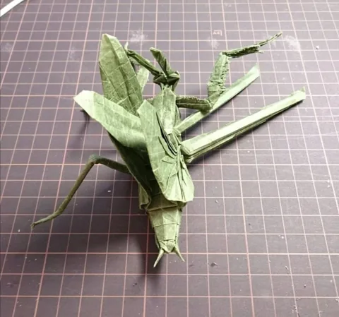 Praying Mantis Flying v1.0 — паттерн