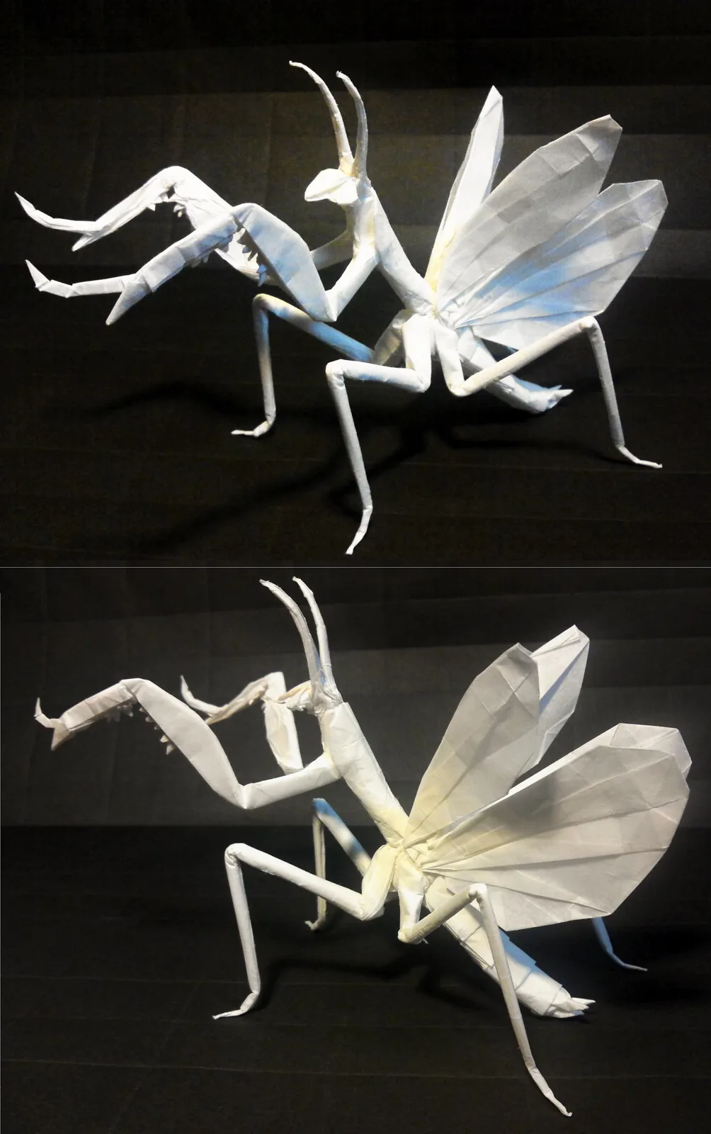 Praying Mantis Flying v1.6