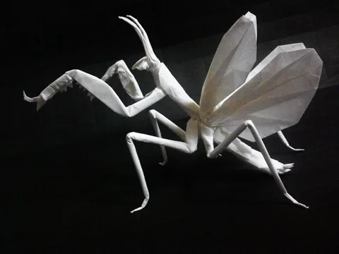 Praying Mantis Flying v1.6
