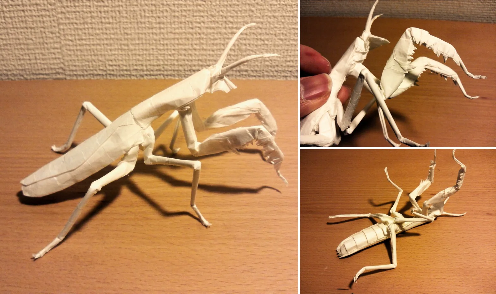 Praying mantis v2.0