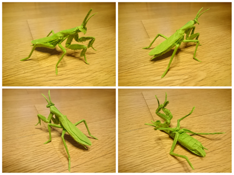 Praying mantis v2.8 (PD)