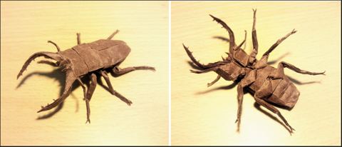 Sawtooth Stag Beetle v2